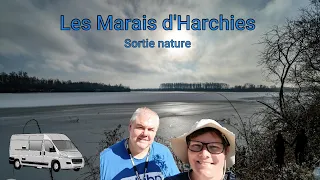 Les Marais d'harchies #birdphotography  #lesvoyageursdebelgique