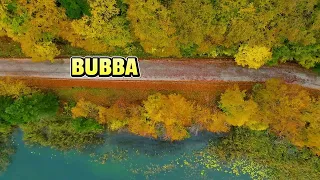 PICK A LOT. WOOLMARKET MS. [[DJI FPV]] aka BUBBA