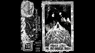 Immortal Forest (Unknown) — Howls From the Primordial Ones — 2021 demo