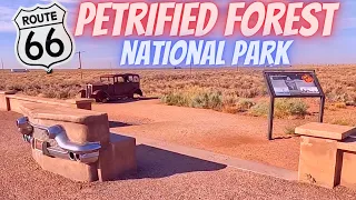 Petrified Forest Along Historic Route 66