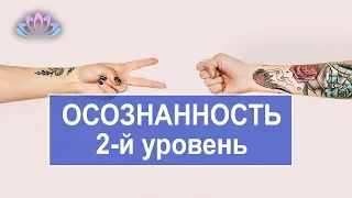 Осознанность личной истории – 2й уровень. Чувство вины и обиды. Интегральное самоисследование