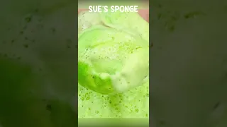 ASMR Long Waffle Sponge x Green Detergent