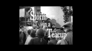 Storm in a Teacup Trailer