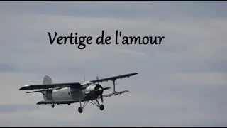 Vertige de l'amour - Alain Bashung   (Paroles)