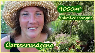 Riesen Gartenrundgang Juli Selbstversorgergarten Permakultur