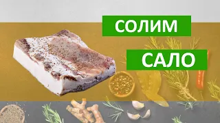 Такое сало вы ещё не пробовали! Солим сало вместе!