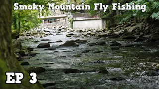 Fly Fishing The Smokies | Downtown Gatlinburg | Fly Fishing Gatlinburg Tennessee EP 3