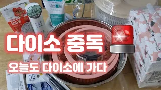 다이소 중독 🚨🚨🚨 오늘도 다이소에 가다 / 나만 알기 아까운 다이소 꿀템