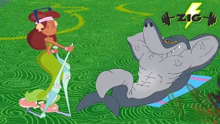 Zig & Sharko ⚡️ GYM (S01E16) New Episodes in HD