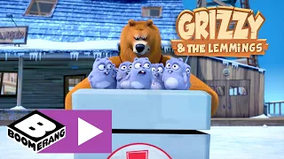 Grizzy en de Lemmings | De container | Cartoonito