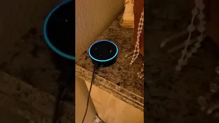 Alexa fart enabled!