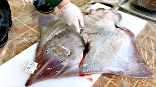 11kg giant skate fish cutting show, 40 years of master’s amazing skill / Korean street food