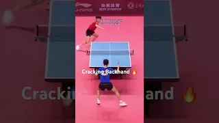 Wang Chuqin Cracking Backhand || The New World Number 1
