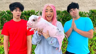 SURPRISING MY FRIENDS WITH A PIG!!