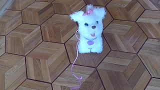 Интерактивный ходячий Щенок ,Fur real friends, GoGo my walking pup, Hasbro Europe