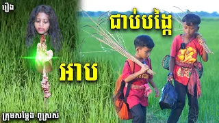 អាបជាប់បង្កៃ​ - By Hot Dog Lucky, New Funny Videos 2023