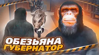 ОБЕЗЬЯНА СТАЛА ГУБЕРНАТОРОМ СЕРВЕРА В ГТА 5 РП / GTA 5 RP