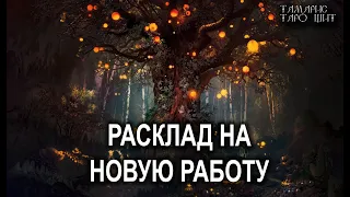 Расклад на новую работу💯 гадание расклад таро