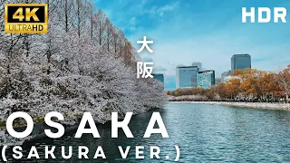 🌸 Osaka - From Osaka Station to Osaka Castle Park in Sakura Season | 4K HDR