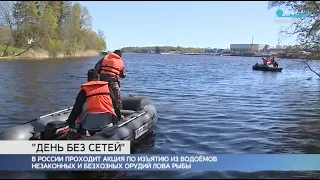 Как в Ленинградской области проходила экологическая акция «Всероссийский день без сетей»