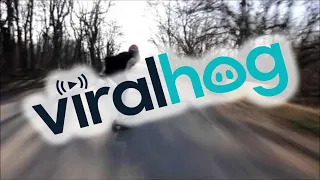 Skateboarder Slams Into Car || ViralHog