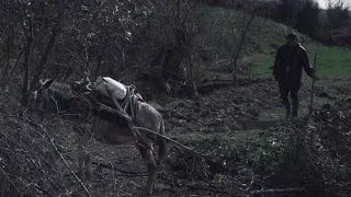 Një tmerr i vërtetë pranë Tiranës… - Shqipëria Tjetër