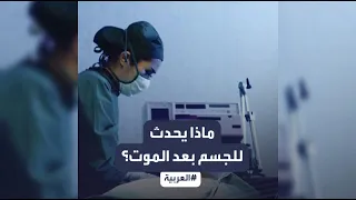 ماذا يحدث لجسم الإنسان بعد الموت؟