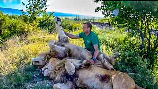 IN AN EMBRACE WITH OLEG’S BELOVED LIONS CHUK AND GEK