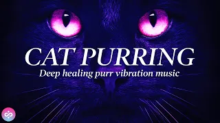 CAT PURRING HEALING POWER VIBRATIONS ✧120hz ✧ RELIEVE ANXIETY, STRESS & SLEEP ✧ FOR HUMANS & CATS 4K