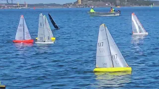 GOLD FLEET RACE 8  -  DF65 WORLD CHAMPIONSHIP 2024