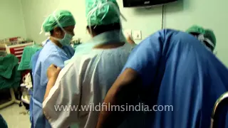 Cesarean section delivery - surgical birth of a human!