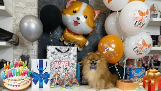 День Рождения Патрика 🥳🐶🎁 KFC для собак 🍔 2 ГОДИКА🐾 #шпиц