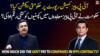 How much did the government pay to companies in IPPs contracts?