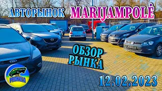 Обзор автомобилей на авторынке г. Мариямполе, Литва! #авто #обзоравто #пригонавто #автоизевропы