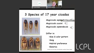 Return of Periodical Cicadas: Fear, Fascination and Fun in 2021