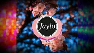 Lauv and Troye Sivan - I'm so tired (Jaylo Remix)