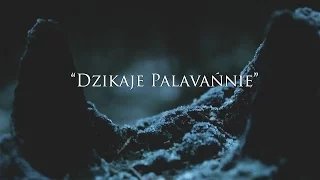 "Dzikaje Palavańnie (Wild Hunt)" preview.