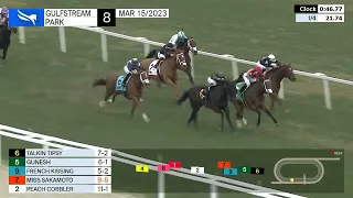 Gulfstream Park Carrera 8 - 15 de Marzo 2023