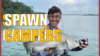 Your ONLY Guide to Kayak Fishing Pulau Ubin