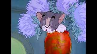 Tom and Jerry, 4 Episode - Fraidy Cat