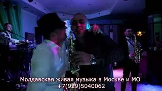 Живая музыка в Москве и МО