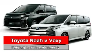 Toyota Noah и Voxy обзор минивэнов нового поколения