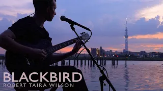 Robert Taira Wilson - Blackbird Live