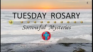 Tuesday Rosary • Sorrowful Mysteries of the Rosary 💜 March 26, 2024 VIRTUAL ROSARY - MEDITATION