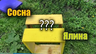 Гніють вулики на пасіці. Перейти з сосни на ППУ?