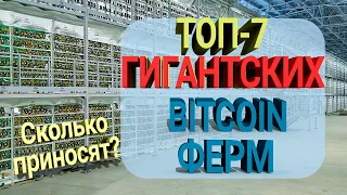 Самая Большая Майнинг Ферма В России, Китае и др. странах [ТОП-7 Биткоин ферм]