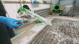 Стирка ковров в Кемерово: залипательный процесс стирки ковра / Rug washing ASMR