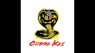 Believer (Cobra kai) ITS KARATE TIME