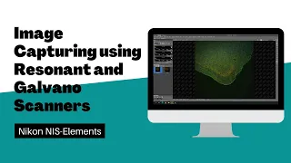 【Nikon NIS-Elements】Image Capturing using Resonant Scanners and Galvano Scanners