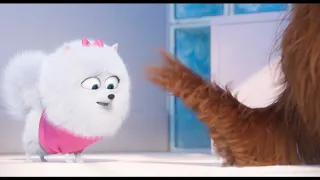 Sky Broadband The Secret Life Of Pets Gidget's Pop Party Short Ad 2016